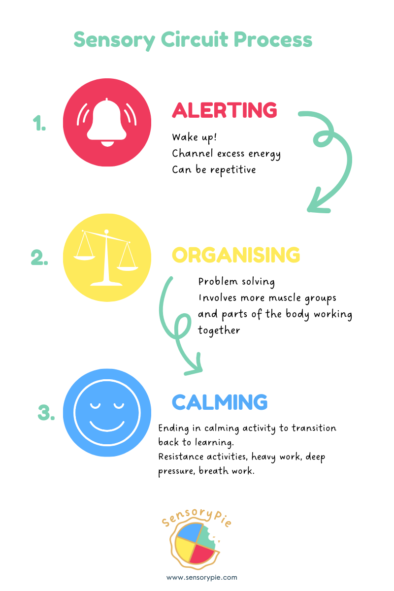 What Is A Sensory Circuit 